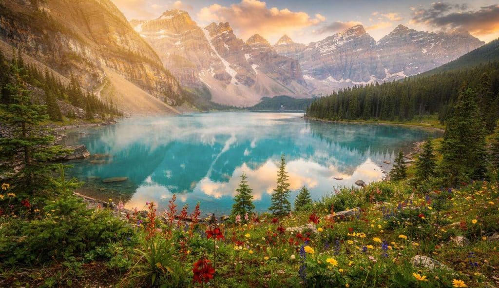 Les curiosités naturelles surprenantes à découvrir absolument